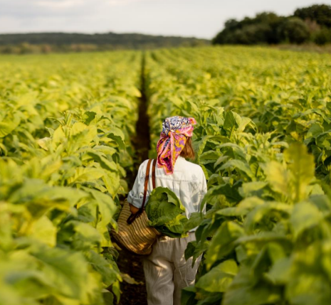 Haz click para acceder al informe completo